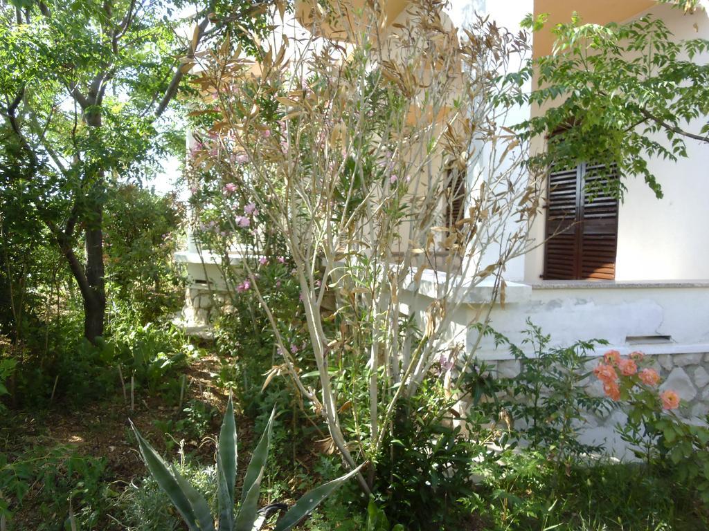 Apartments Kresimir Beauty With Shadow Trees And Parking Place Pag Town Room photo